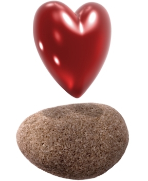 heart and a stone